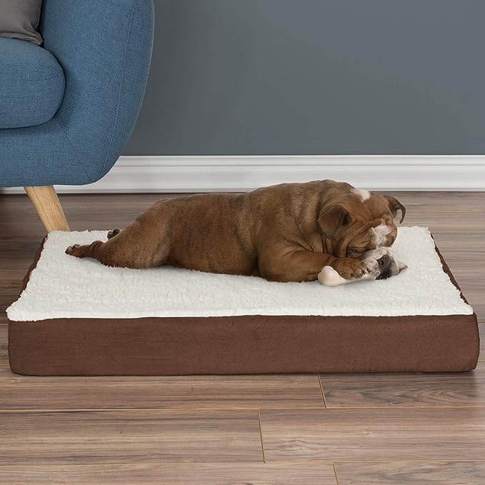 Orthopaedic Dog Bed